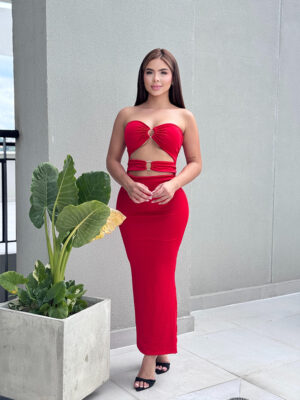 Vestido argolla - Image 1